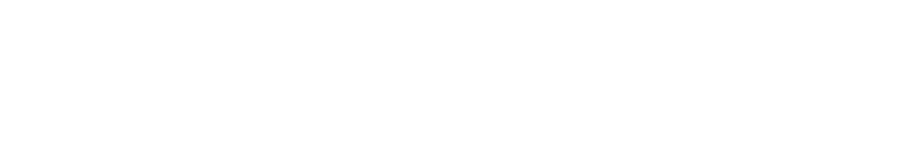 ZOYOS